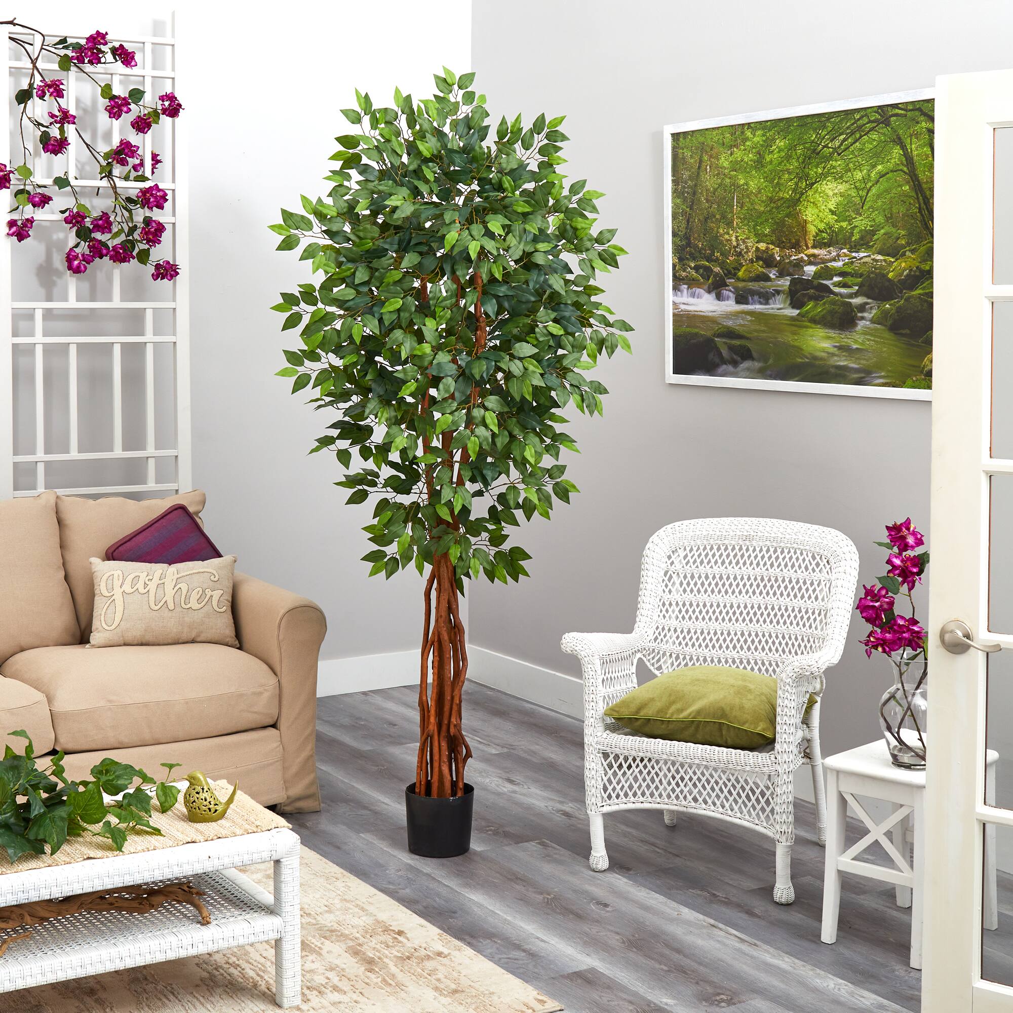 6.5ft. Potted Super Deluxe Ficus Tree